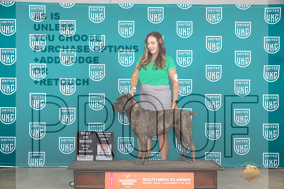 Cane Corso #367 Sat BOBTD Judge Nina Marie Sherrer__JP_3720_UKCBelton2023-HR3