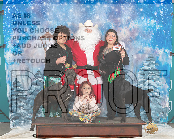 Cane Corsos Sat Santa__JP_3353_UKCBelton2023-HR3