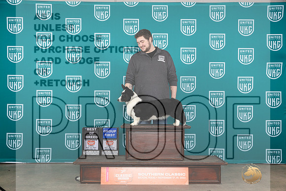 Cardigan Welsh Corgi #130 Sat BOBG1 Judge Nina Marie Sherrer__JP_4229_UKCBelton2023-HR3