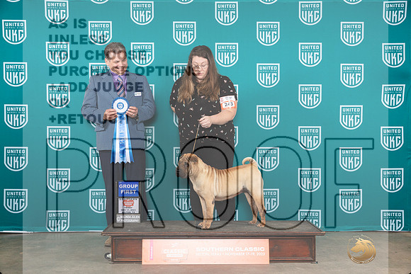 Chinese Shar Pei #243 Fri G1 Judge Antonio Raposo__JP_2942_UKCBelton2023-HR3