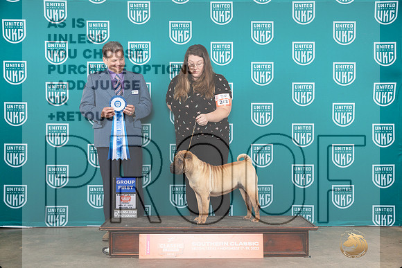 Chinese Shar Pei #243 Fri G1 Judge Antonio Raposo__JP_2943_UKCBelton2023-HR3