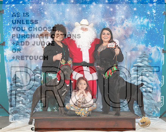 Cane Corsos Sat Santa__JP_3354_UKCBelton2023-HR3