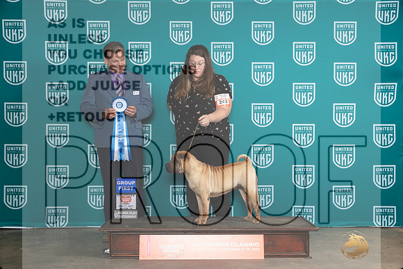 Chinese Shar Pei #243 Fri G1 Judge Antonio Raposo__JP_2947_UKCBelton2023-HR3