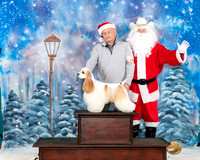 Cocker Spaniel Sat Santa