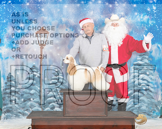 Cocker Spaniel Sat Santa__JP_3118_UKCBelton2023-HR3