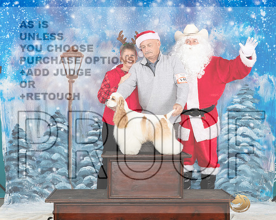 Cocker Spaniel Sat Santa__JP_3124_UKCBelton2023-HR3