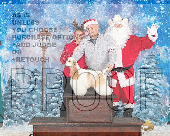Cocker Spaniel Sat Santa__JP_3125_UKCBelton2023-HR3