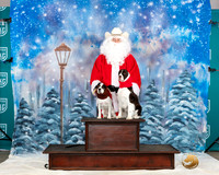 Cocker Spaniels Sat Santa