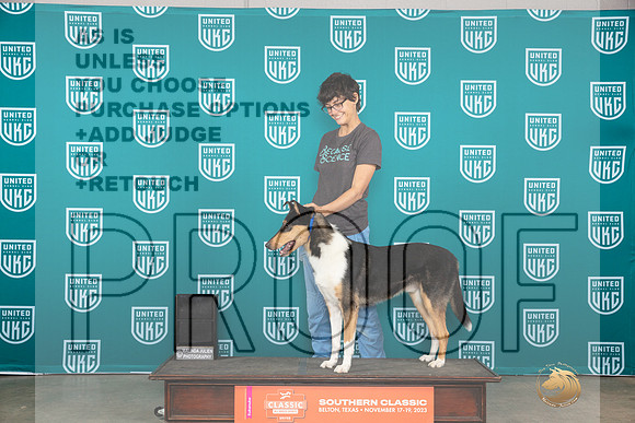 Collie #148 Sat Roxanne__JP_3760_UKCBelton2023-HR3