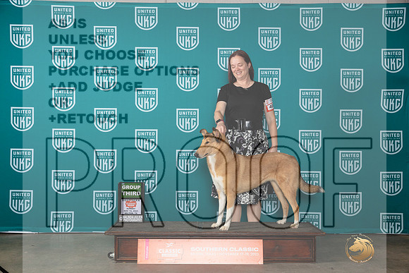 Collie Smooth #400 Sun BOBG3 Judge Antonio Raposo__JP_4195_UKCBelton2023-HR3