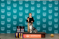 Corgi x #152 Jr 601 Jr HIT ROI
