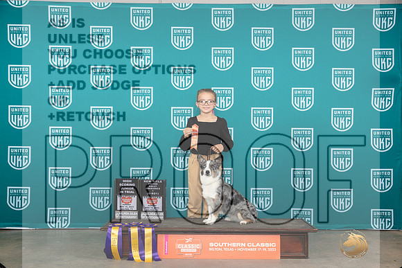 Corgi x #152 Jr 601 Jr HIT ROI__JP_3901_UKCBelton2023-HR3