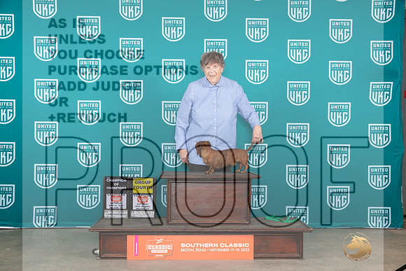 Dachshund #? Sat G4 Judge Carianna Glenn__JP_3550_UKCBelton2023-HR3