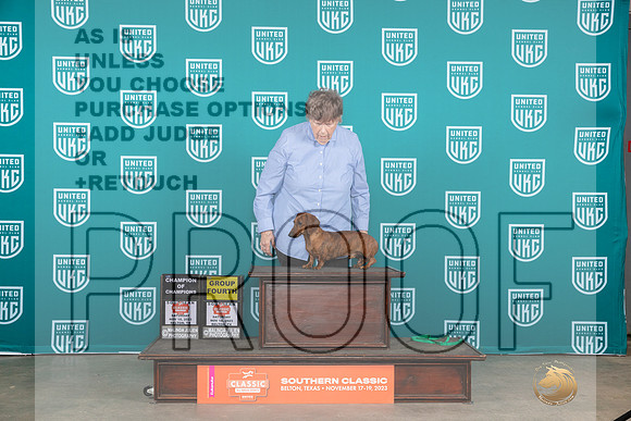 Dachshund #? Sat G4 Judge Carianna Glenn__JP_3555_UKCBelton2023-HR3