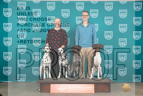 Dalmatian #186 #325 Sun __JP_4238_UKCBelton2023-HR3