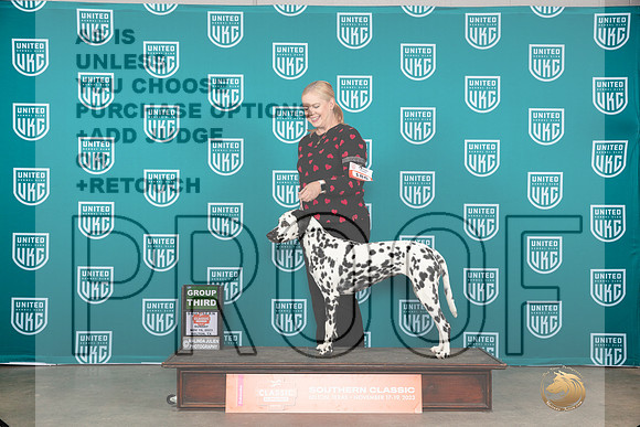 Dalmatian #187 Sun BOBG3 Judge Antonio Raposo__JP_3951_UKCBelton2023-HR3