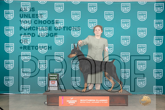 Doberman PInscher #295 Sun BOBG3 Judge Polly Draken Jones__JP_3994_UKCBelton2023-HR3