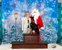 Doberman Pinscher Falon Santa