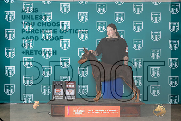 Doberman Pinscher #369 Sat BOBG2CH Judge Nina Marie Sherrer__JP_3982_UKCBelton2023-HR3