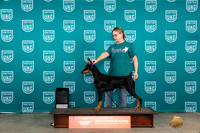 Doberman Pinscher Fri Felicity
