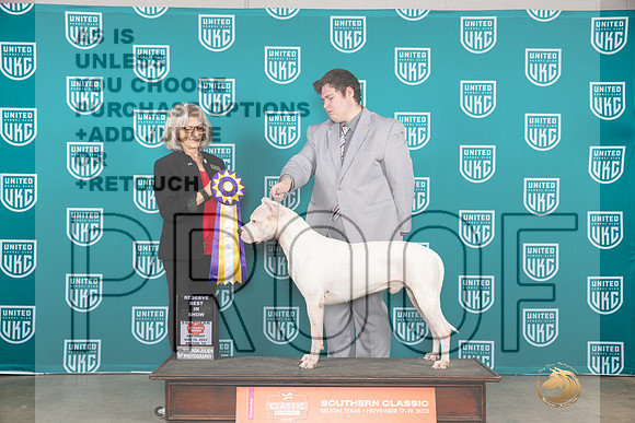 Dogo Argentino Sat RBIS Judge Nina Marie Sherrer__JP_3807_UKCBelton2023-HR3