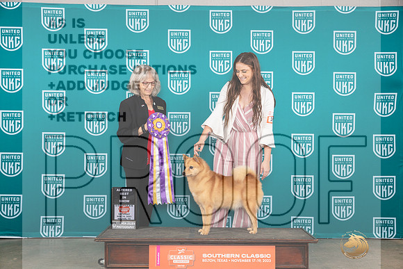 Finish Spitz #395 Sat2 ABIS Judge Nina Marie Sherrer__JP_3793_UKCBelton2023-HR3