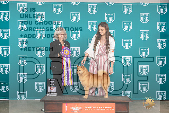 Finish Spitz #395 Sat2 ABIS Judge Nina Marie Sherrer__JP_3794_UKCBelton2023-HR3