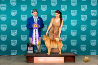 Finish Spitz #345 Fri2 ABIS Judge Joseph Gubry