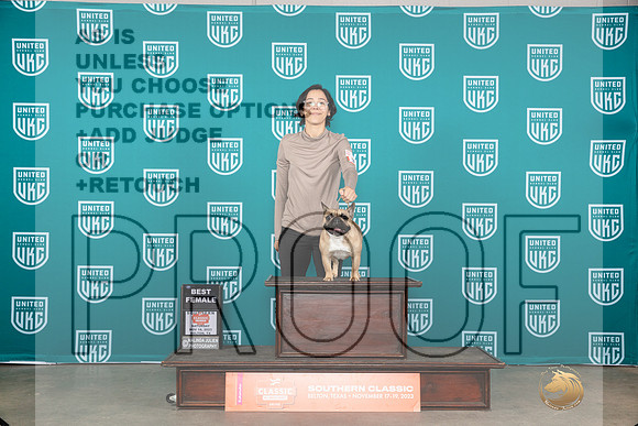 French Bulldog #386 Sat BF Judge Polly Drake Jones__JP_3953_UKCBelton2023-HR3