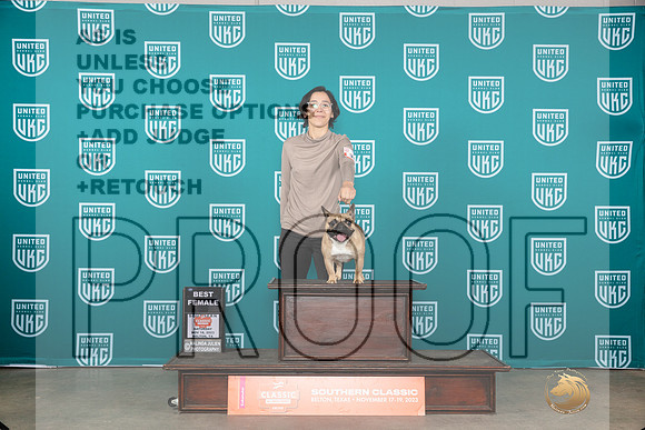 French Bulldog #386 Sat BF Judge Polly Drake Jones__JP_3955_UKCBelton2023-HR3