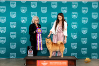 Finish Spitz #395 Sat2 ABIS Judge Nina Marie Sherrer