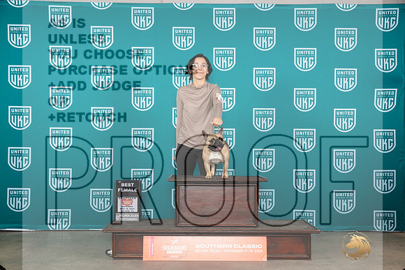 French Bulldog #386 Sat BF Judge Polly Drake Jones__JP_3959_UKCBelton2023-HR3