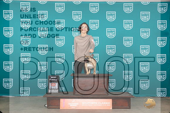 French Bulldog #386 Sat BF Judge Polly Drake Jones__JP_3962_UKCBelton2023-HR3