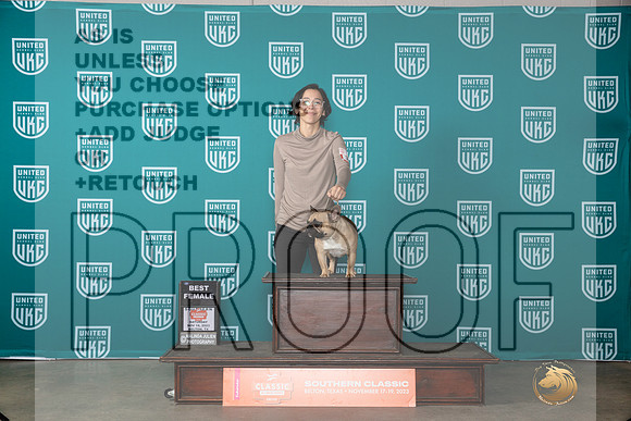 French Bulldog #386 Sat BF Judge Polly Drake Jones__JP_3963_UKCBelton2023-HR3