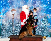German Shepherd Dog #346 Santa