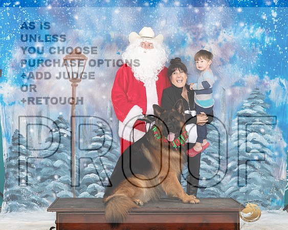 German Shepherd Dog #346 Santa__JP_3156_UKCBelton2023-HR3