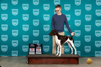 German Shorthaired Pointer #326 Sat1 BOBCH Judge Joseph Gubry