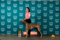 Greyhound #194 Sun G4 Judge Joseph Gubry