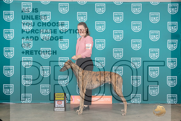 Greyhound #194 Sun G4 Judge Joseph Gubry__JP_3930_UKCBelton2023-HR3