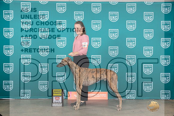 Greyhound #194 Sun G4 Judge Joseph Gubry__JP_3931_UKCBelton2023-HR3