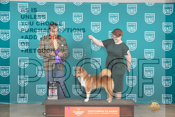 Icelandic Sheepdog #195 Sat BOBBOW Judge Antonio Raposo__JP_3730_UKCBelton2023-HR3
