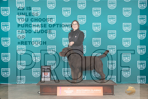 Labrador Retriecer #228 Fri COC Judge Carianna Glenn__JP_2802_UKCBelton2023-HR3
