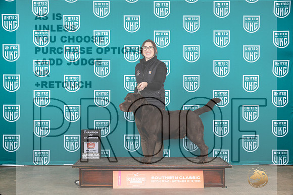Labrador Retriecer #228 Fri COC Judge Carianna Glenn__JP_2803_UKCBelton2023-HR3
