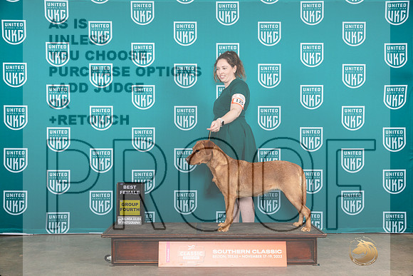 Labrador Retriever #125 fri BF Judge Carianna Glenn__JP_2824_UKCBelton2023-HR3