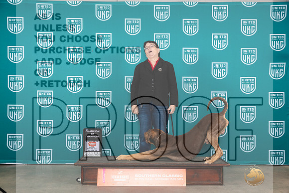 Lousiana Catahoula Leopard Dog #112 Sun COC Judge Nina Marie Sherrer__JP_4154_UKCBelton2023-HR3