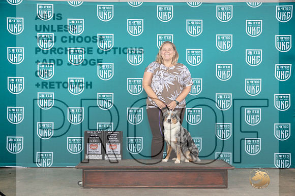 Miniature American Shepherd #109 Sat R2 Sun RM__JP_4319_UKCBelton2023-HR3
