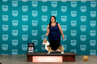 Pembroke Welsh Corgi #397 Sun BF Judge Joseph Gubry