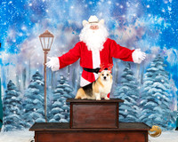 Pembroke Welsh Corgi #455 Santa