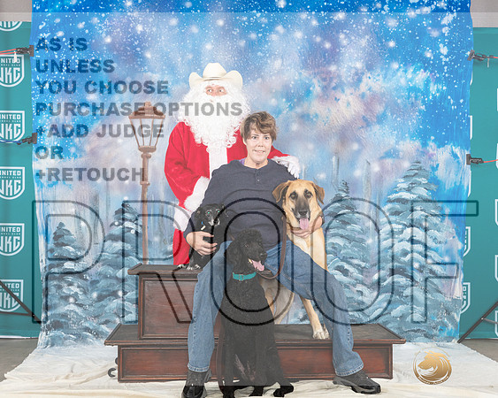 Poodle #334 Santa__JP_3245_UKCBelton2023-HR3