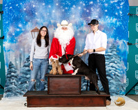 Poodle #337 Sat Santa